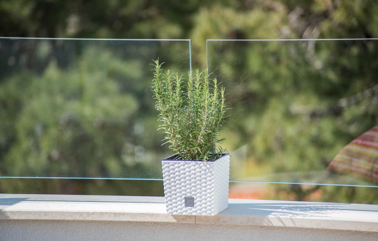 Luxury Apartments Novigrad Novigrad Istria Exterior foto